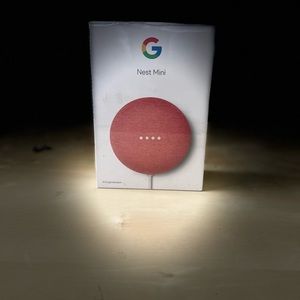 Google Nest Mini